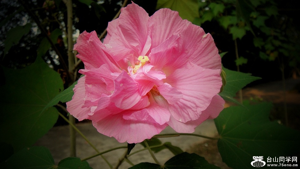 DSC03151_副本.jpg