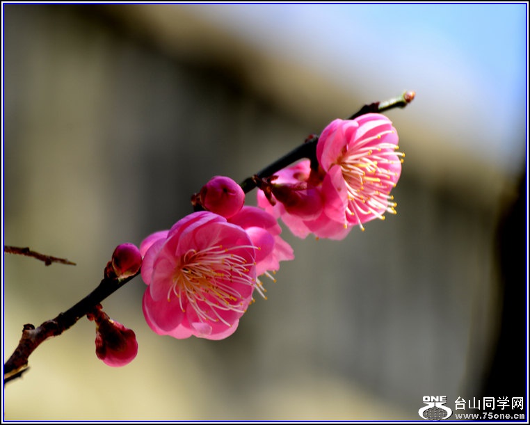 DSC_7489.jpg