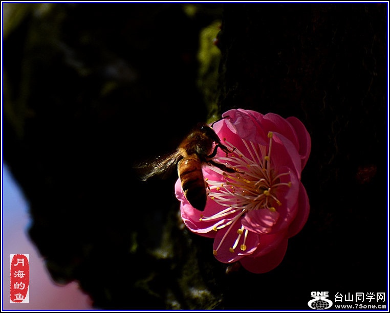 DSC_7519.jpg
