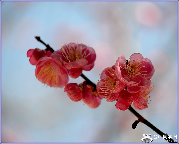 DSC_7455.jpg