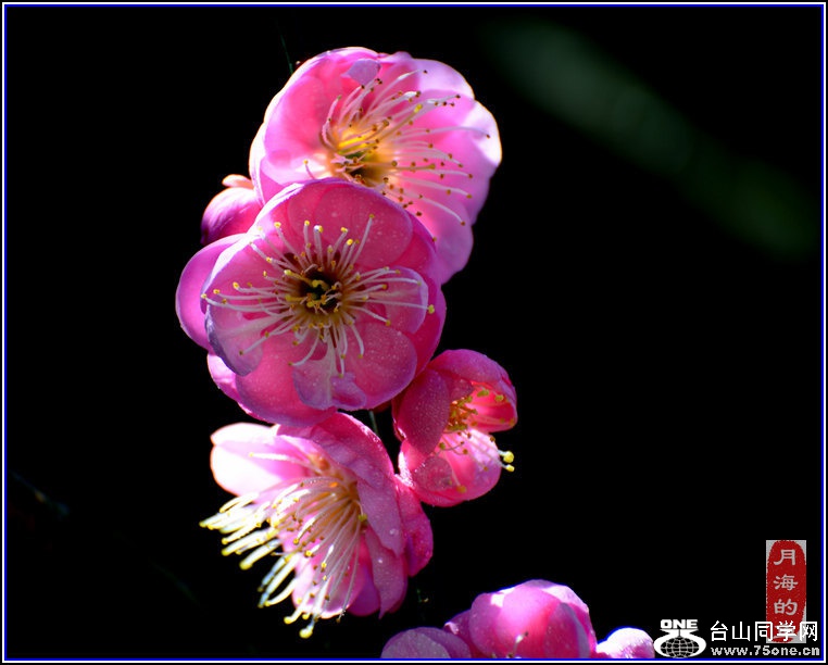 DSC_7534.jpg