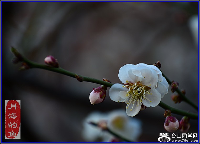 DSC_8344.jpg