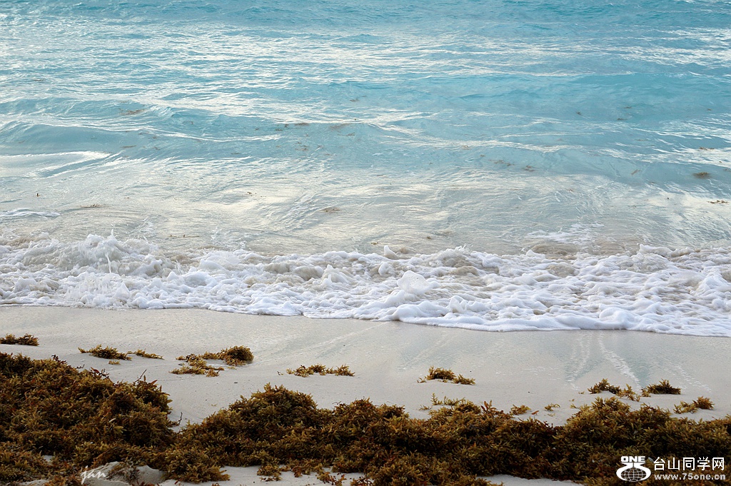 DSC07323_.jpg