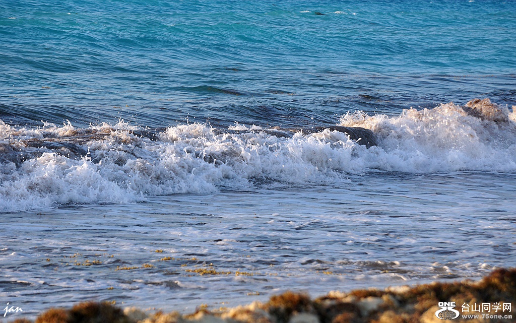 DSC08278.JPG