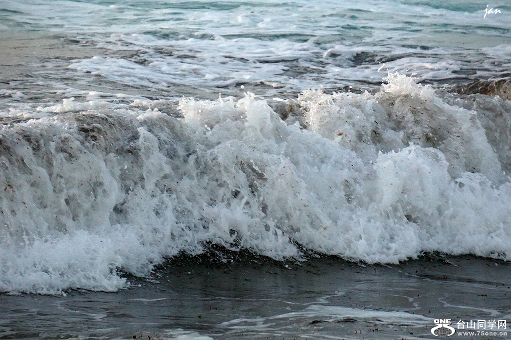 DSC08227.JPG