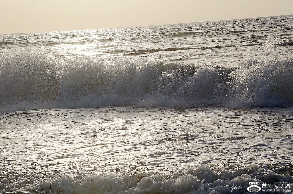 DSC08552.JPG