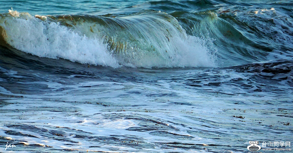 DSC08283_.jpg