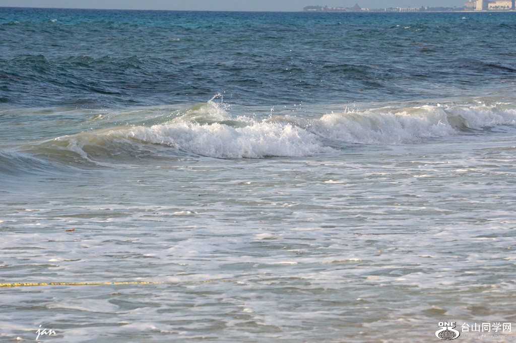 DSC08528.JPG