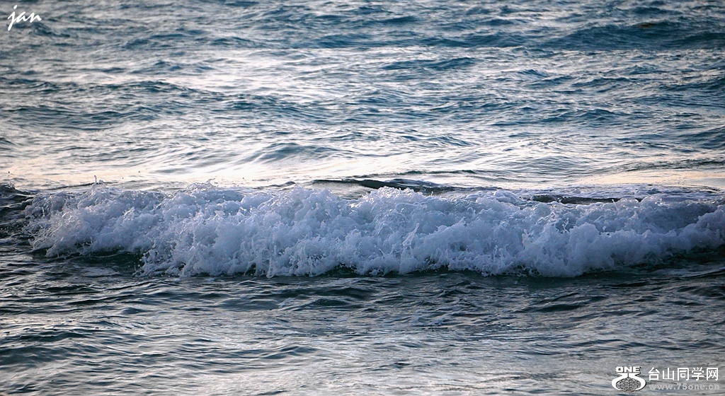 DSC08236_.jpg