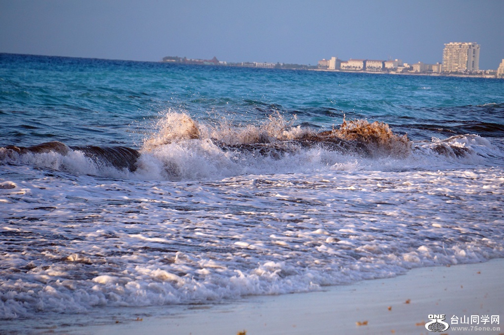 DSC08270.JPG