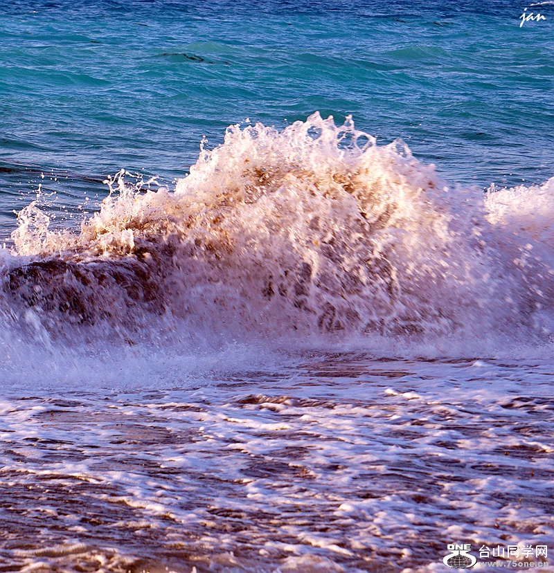 DSC08277_.jpg