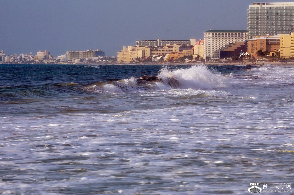 DSC08580.JPG