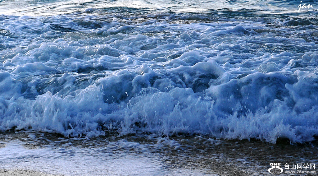 DSC08140_.jpg