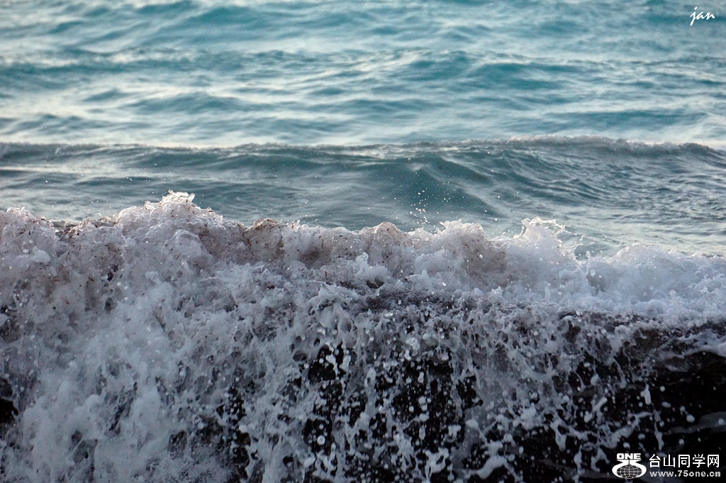 DSC08221_.jpg