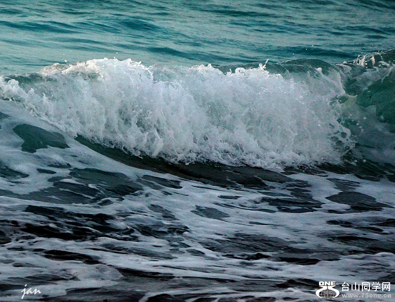 DSC08240_.jpg