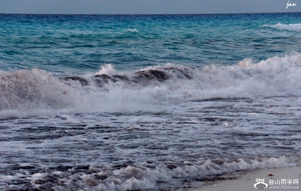 DSC08216.JPG