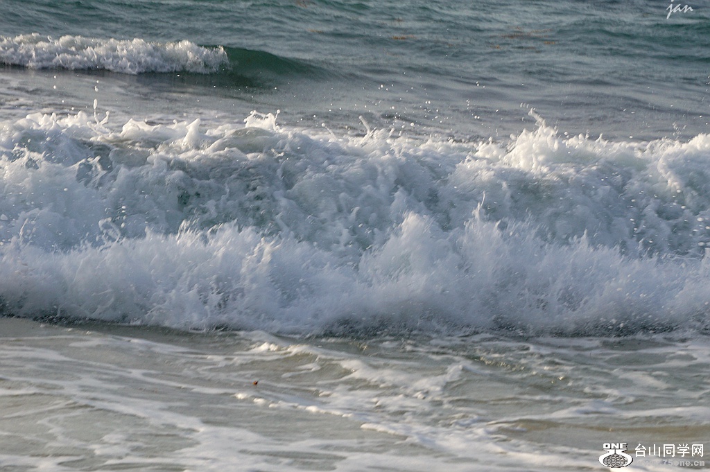 DSC08556.JPG