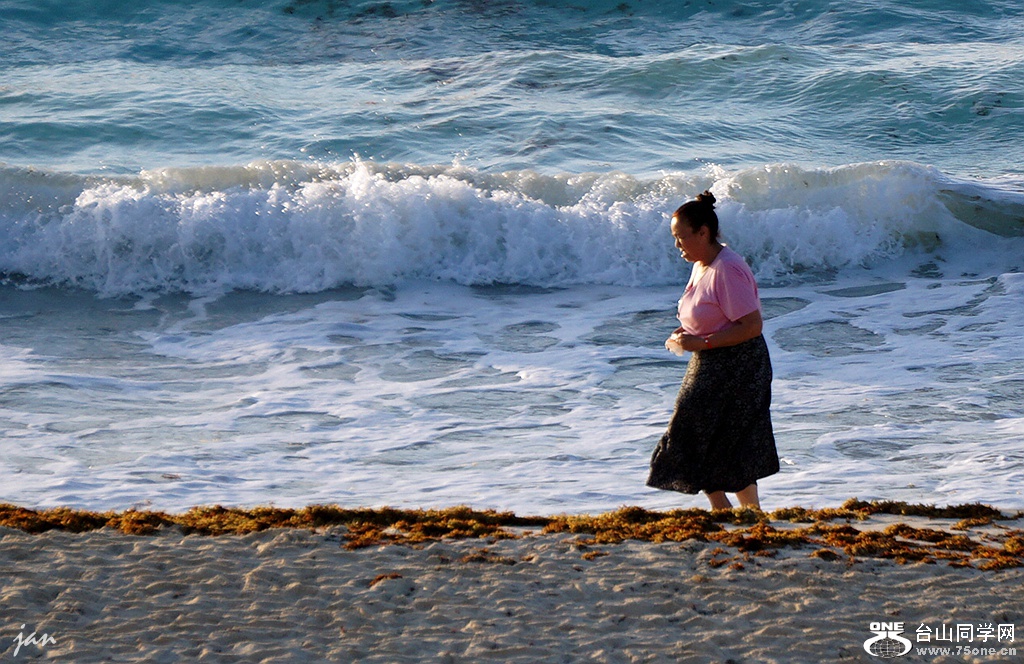 DSC07502_.jpg