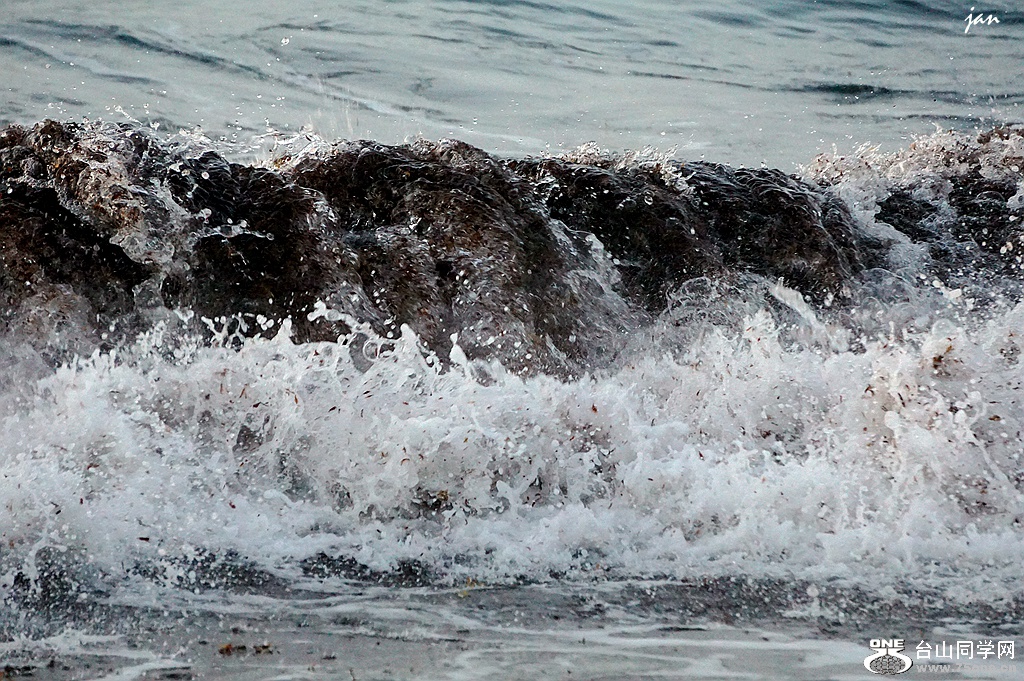 DSC08214_.jpg