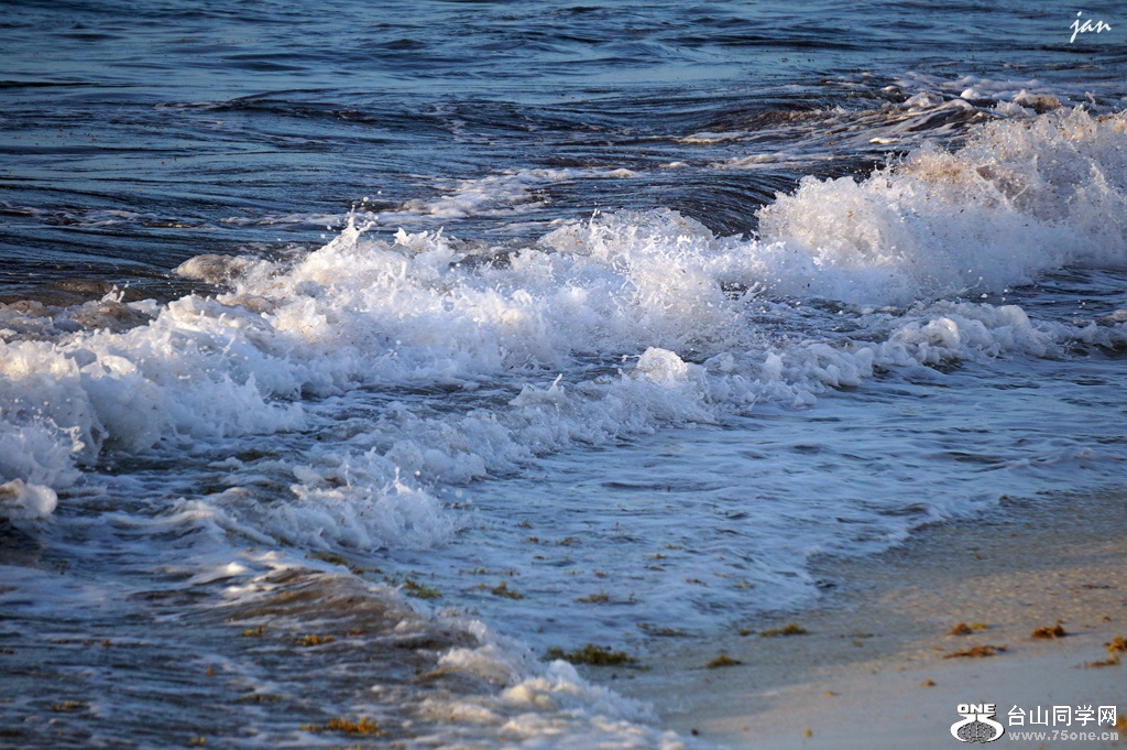 DSC08272.JPG