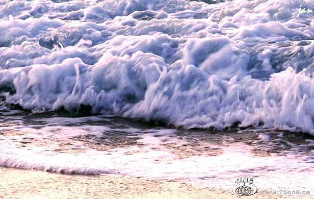 DSC08140 a.jpg