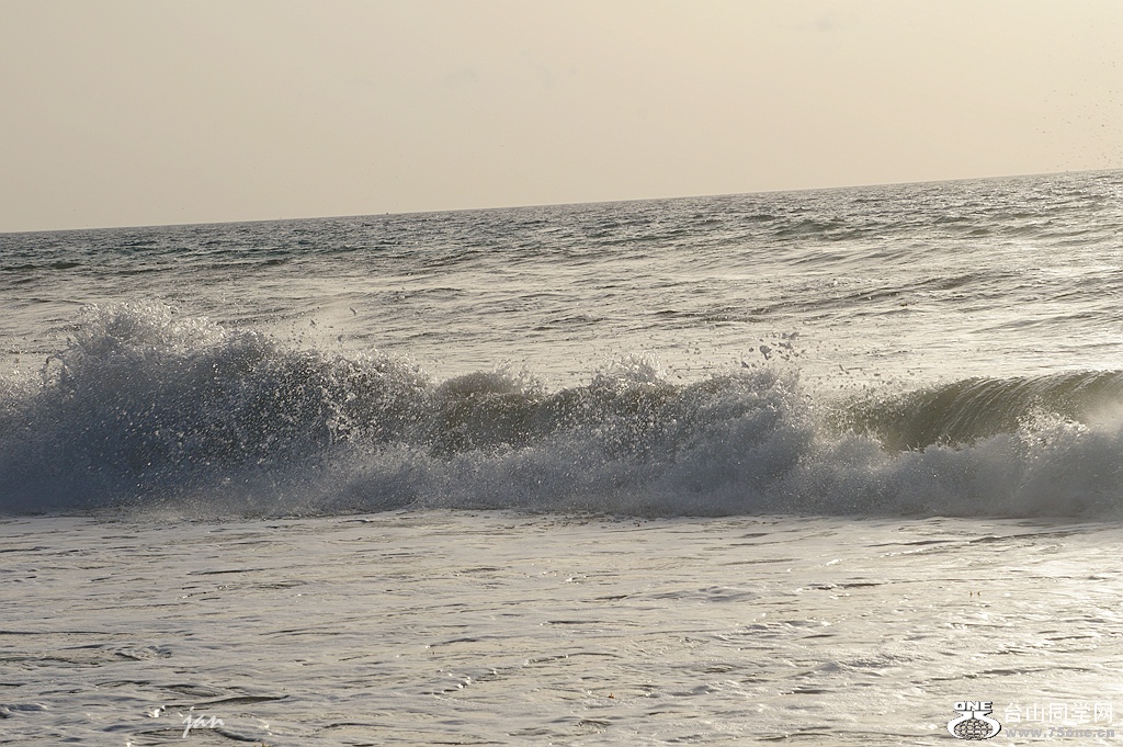 DSC08551.JPG