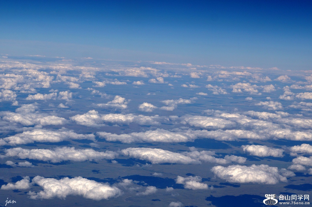 DSC08981.JPG