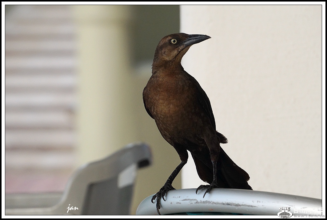 DSC07357_a.jpg