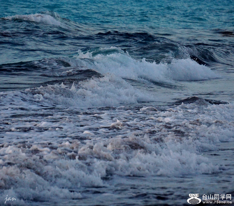 DSC08244_.jpg