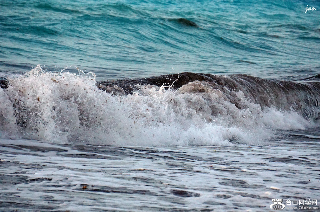DSC08219_.jpg