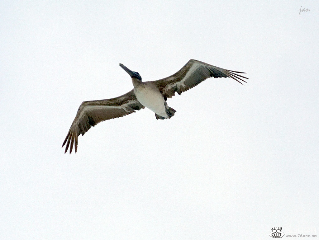DSC07328_.jpg