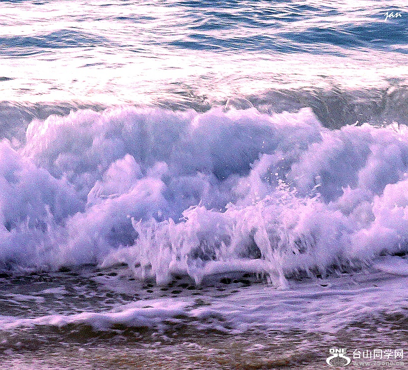 DSC08141_.jpg