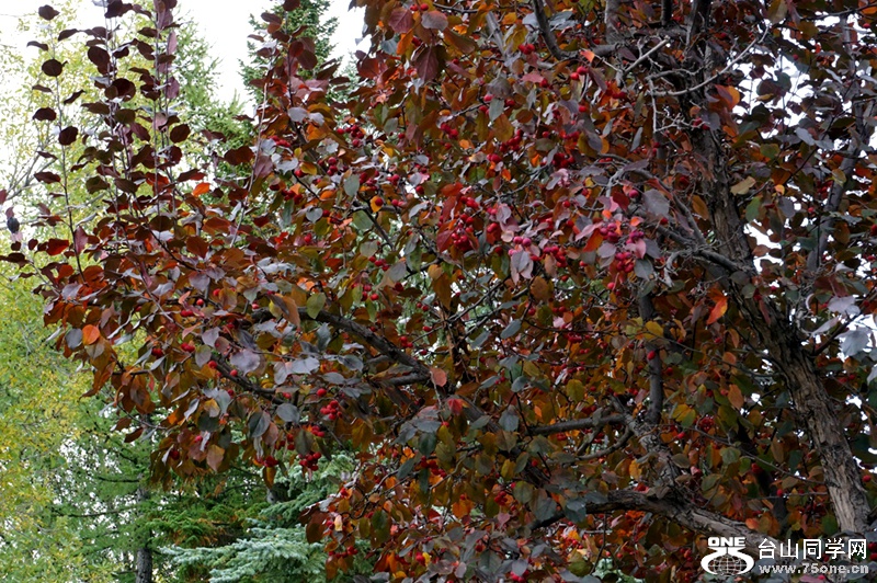 DSC09668.JPG