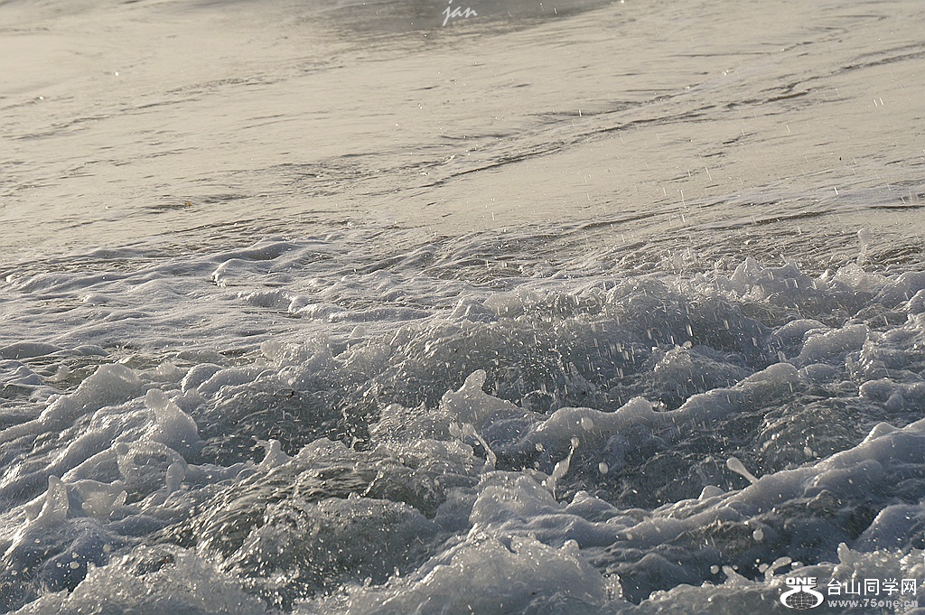 DSC08548.JPG