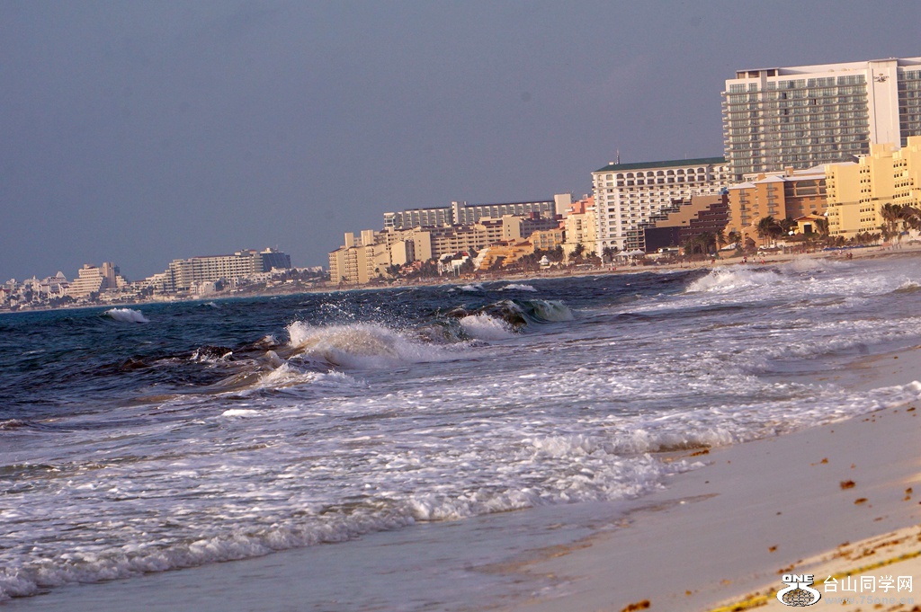 DSC08529.JPG