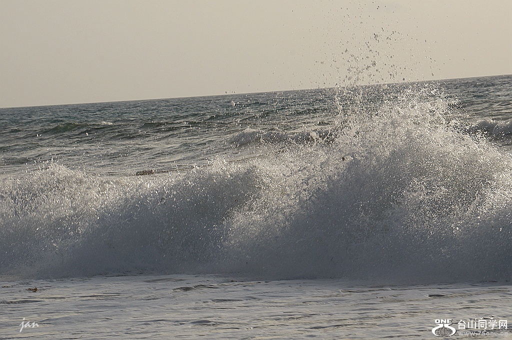 DSC08550.JPG