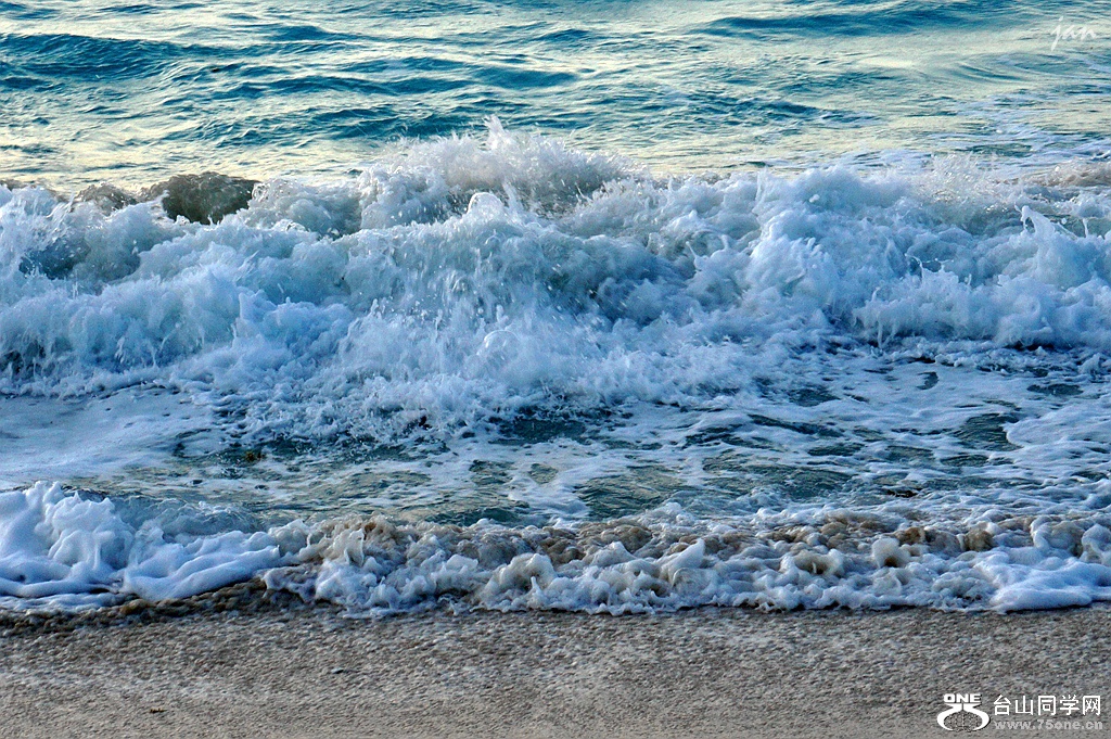 DSC08124_.jpg