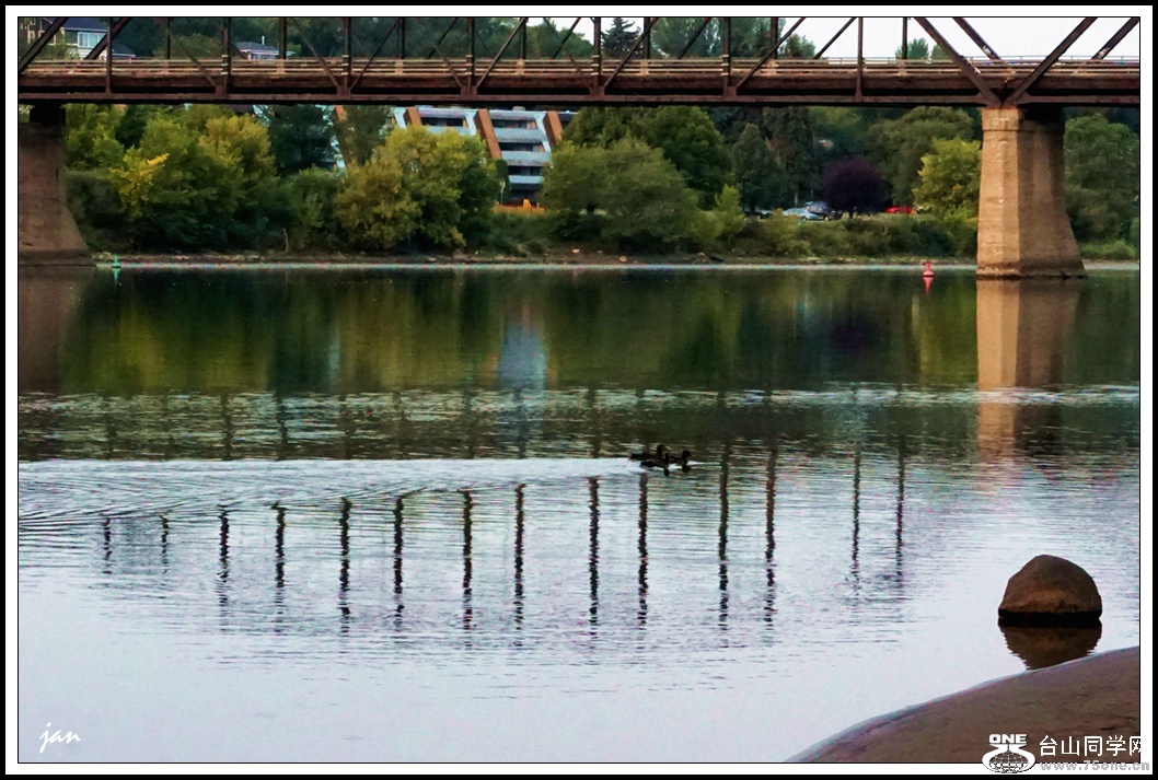 DSC09314_a.jpg