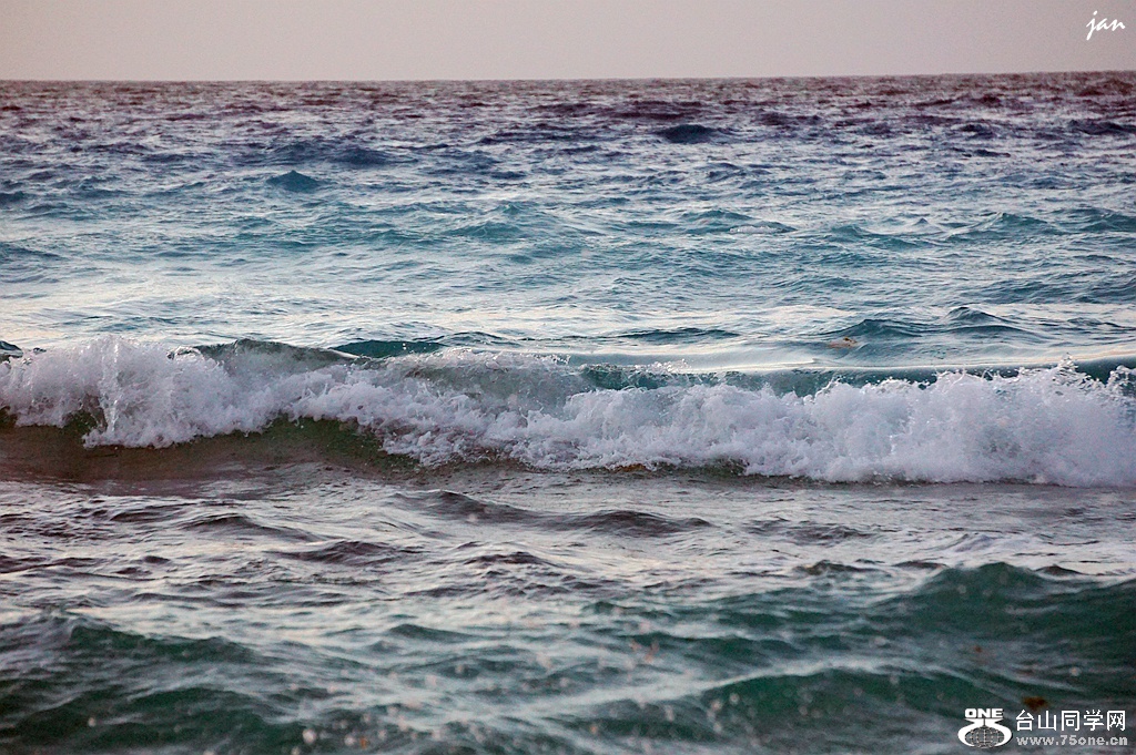 DSC08220_.jpg