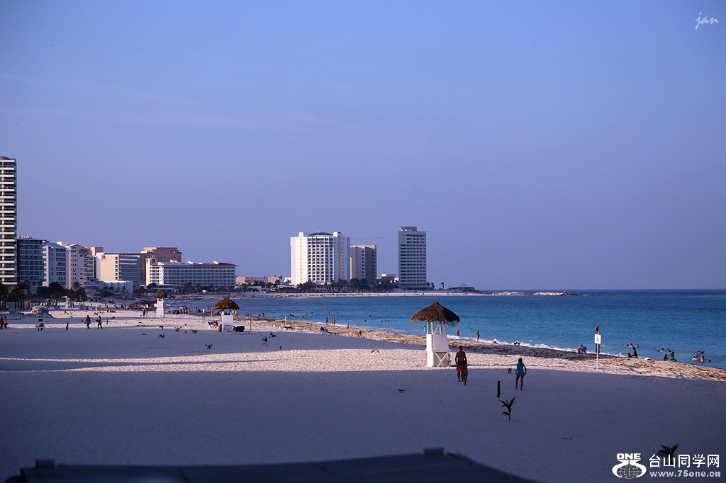 IMG_3516_a.jpg