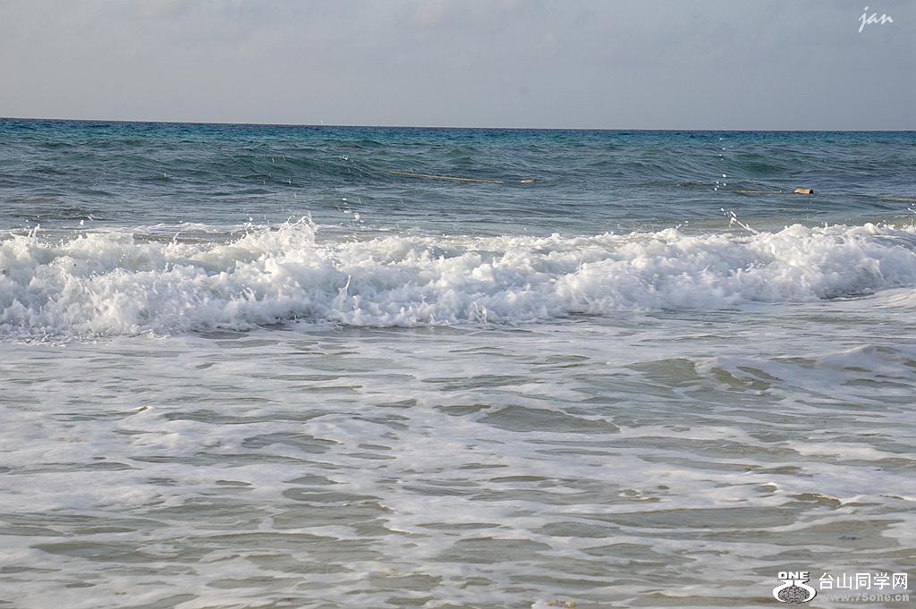 DSC08558.JPG