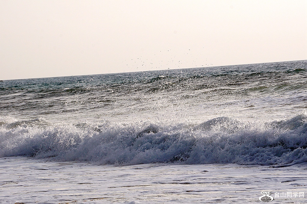 DSC08549.JPG
