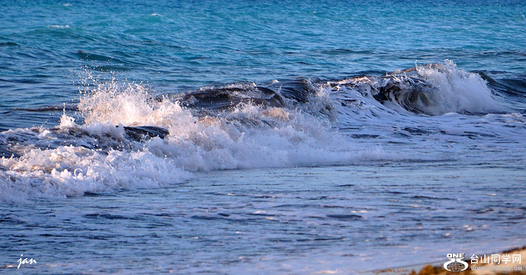DSC08279.JPG