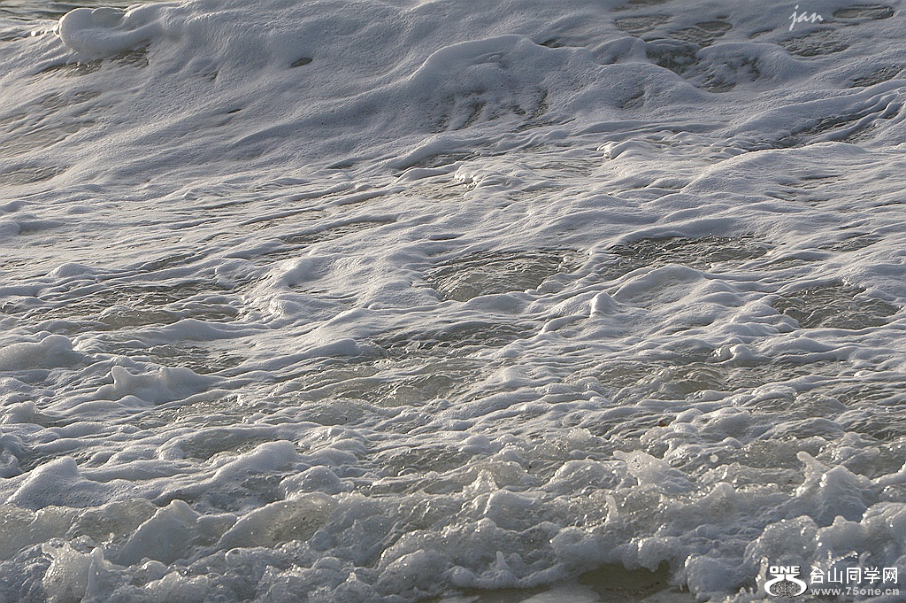 DSC08546.JPG