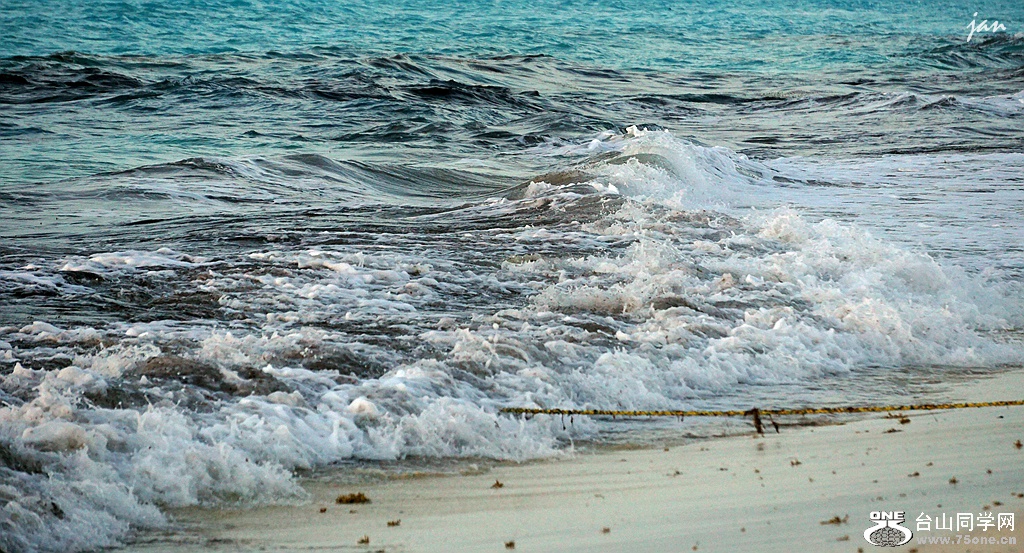 DSC08243_.jpg