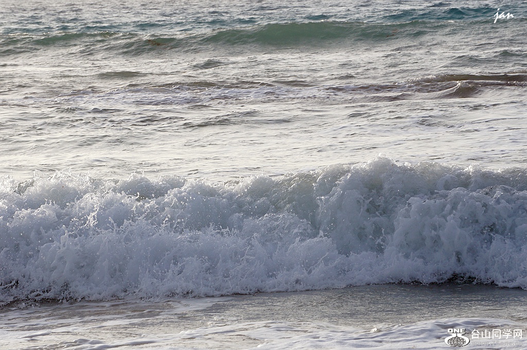 DSC08544.JPG
