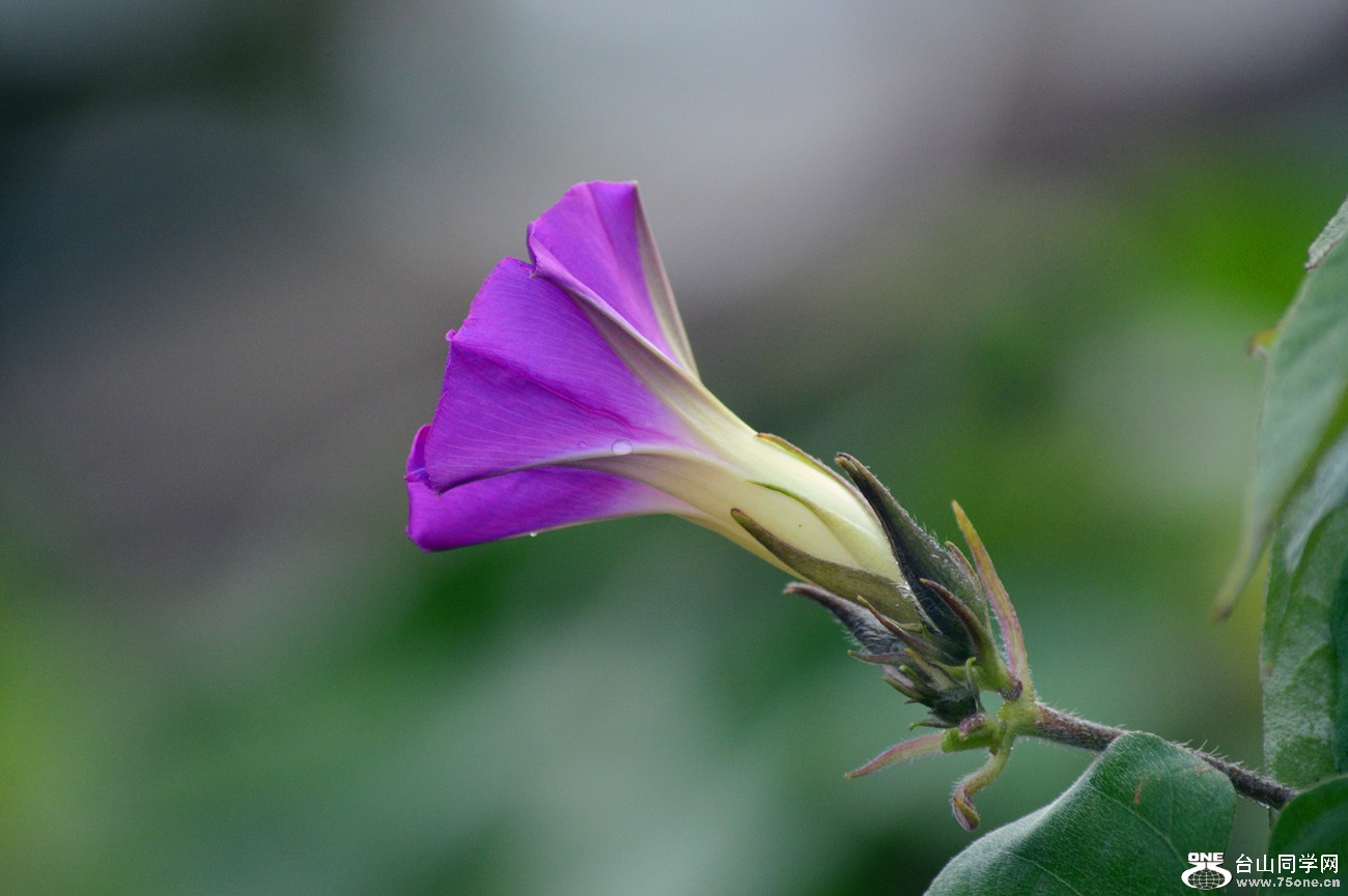 DSC_0551_2.jpg