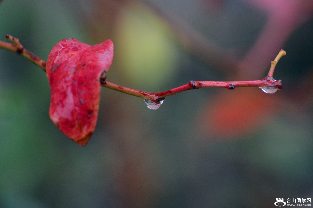 DSC_0443_25.jpg