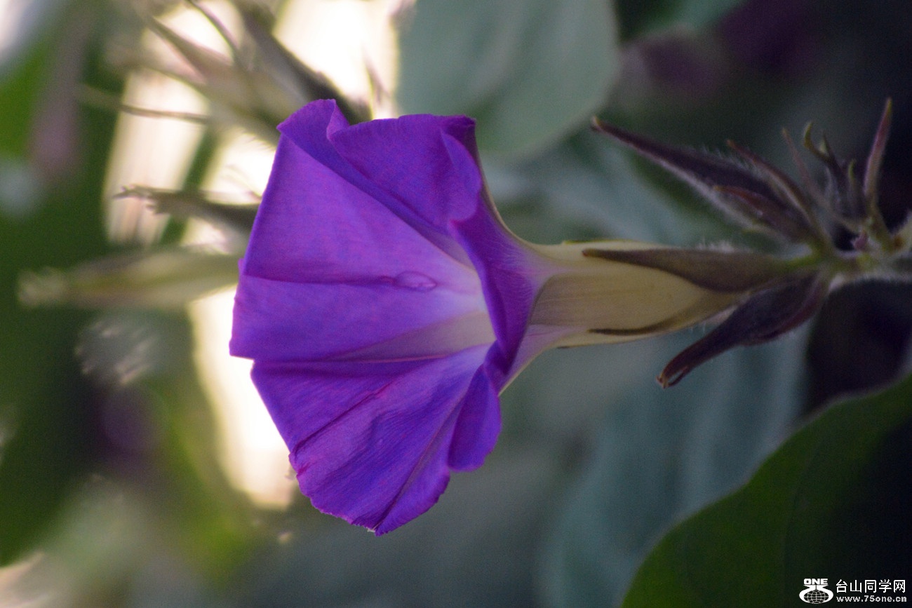 DSC_0578_46.jpg