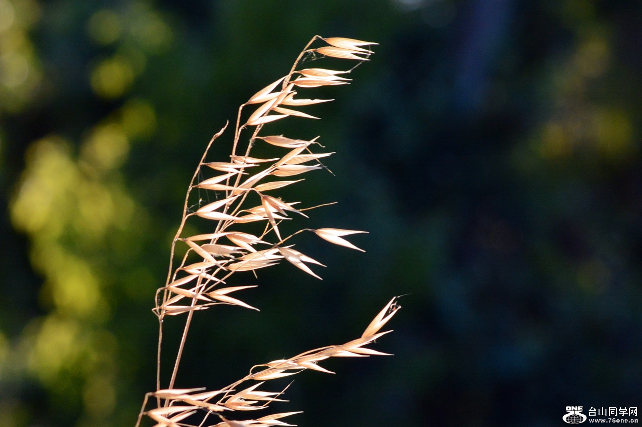 DSC_0927_43.jpg